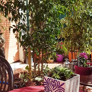 https://crispi-rooms.sicilyhotelsitaly.net